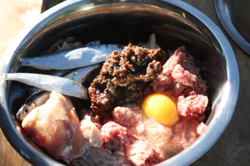 Nos chiens au barf depuis quelques mois