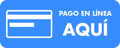 PAGA EN LINIA