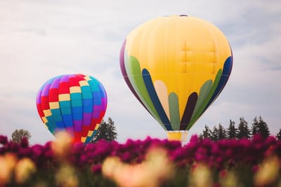 hotairballoonrides image