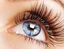 LASH LIFT & TINT TREATMENT  AED 300