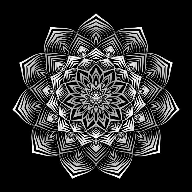 إياك والمِراء في شي‏ء من الدين