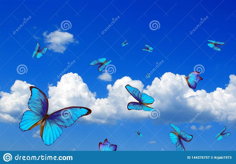 STAGE REIKI 1er degré les 8 et 9 novembre 2025 à Argeliers