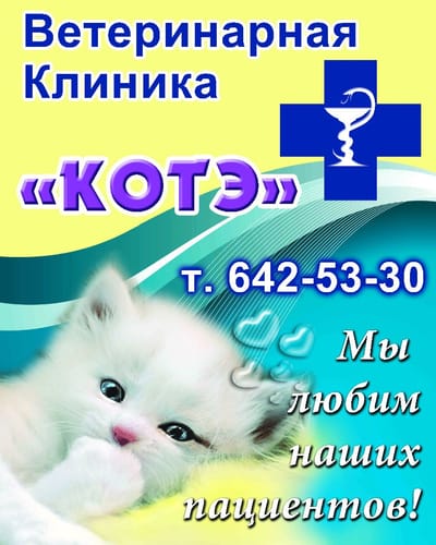 Ветеринарная клиника КОТЭ