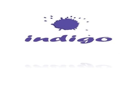 Indigo online