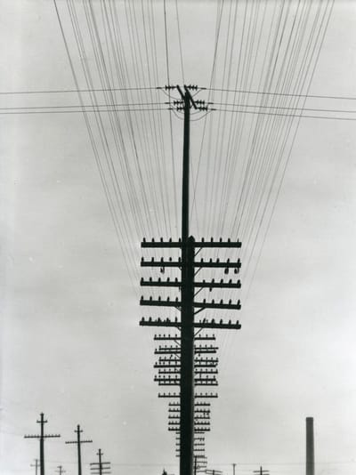 Maples Arce Poema (supositorio)