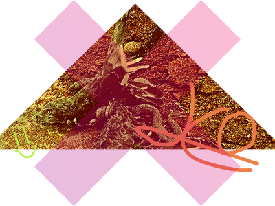 LAS CRÓNICAS DEL SÁTIRO SOLITARIO [PARTE DOS] (Escritas y publicadas vía Facebook entre el 11 y 13 de noviembre del 2019).