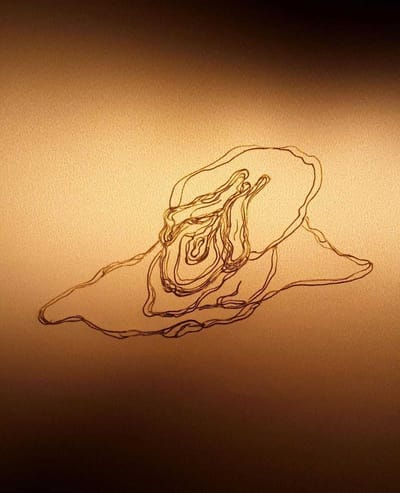 Geografía de la visceralidad / Flavia Zavala Mantis