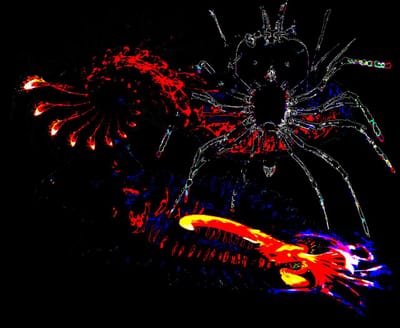 BOSQUE AMORFO / CYBERGORE LUMINESCENTE
