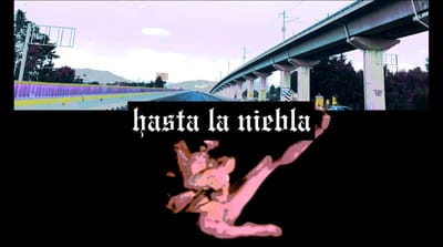 Hasta la niebla