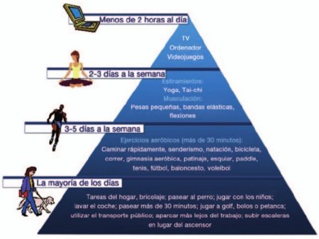 piramide actividad fisica