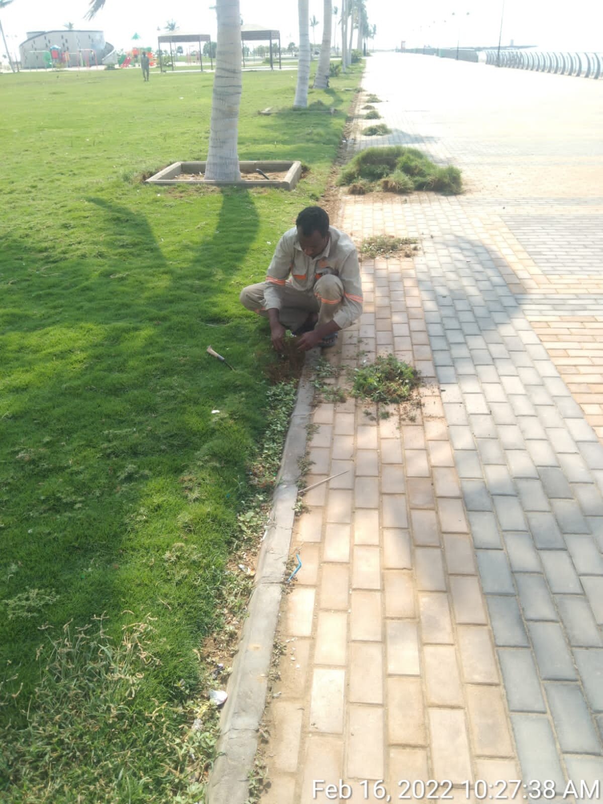 فريق عمل طرق التطور