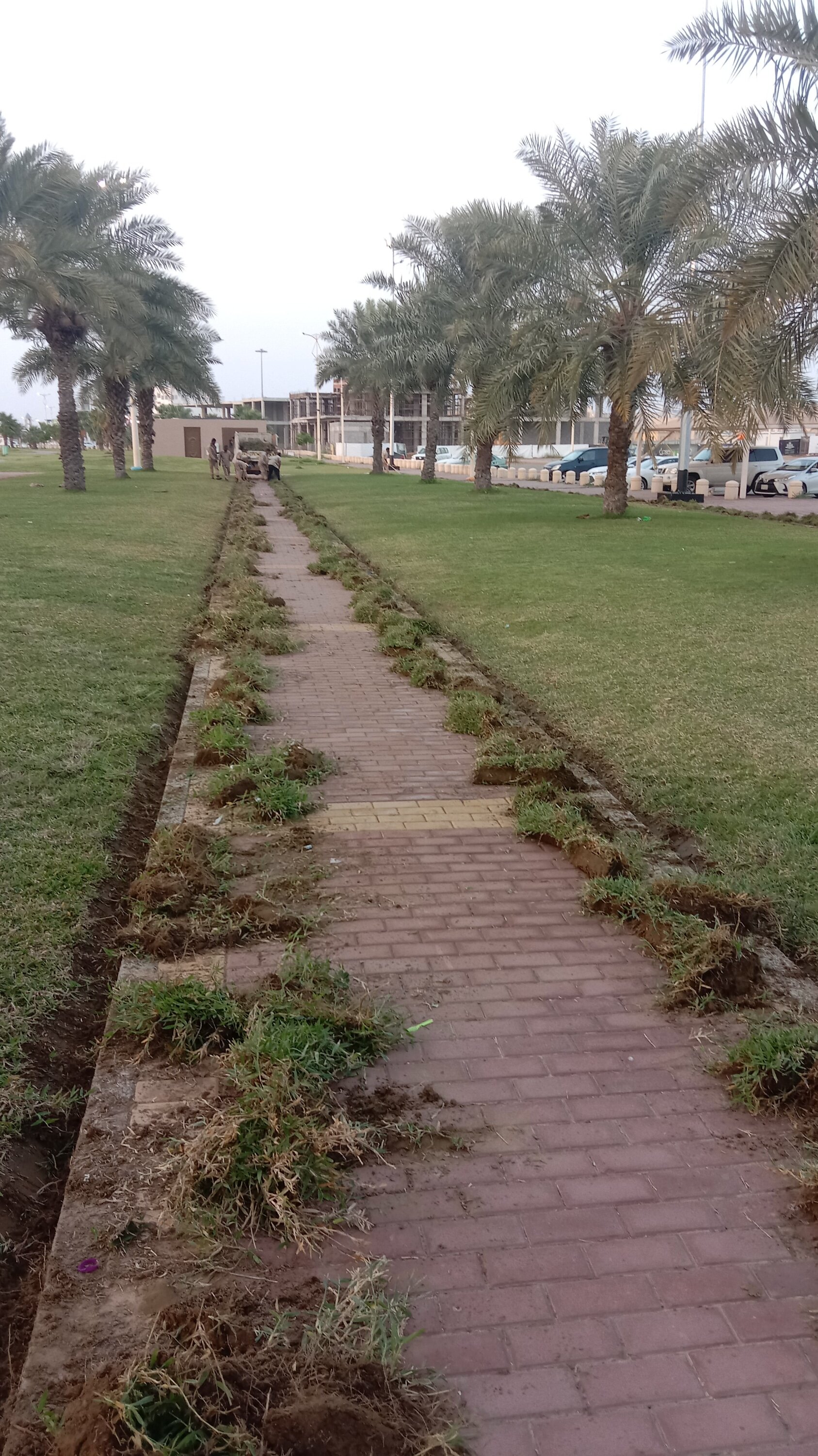 فريق عمل طرق التطور