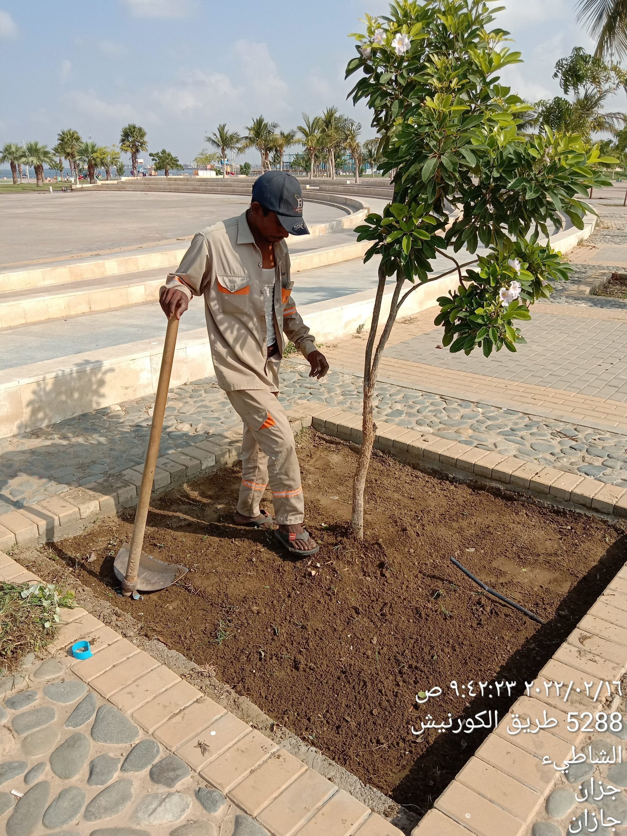فريق عمل طرق التطور