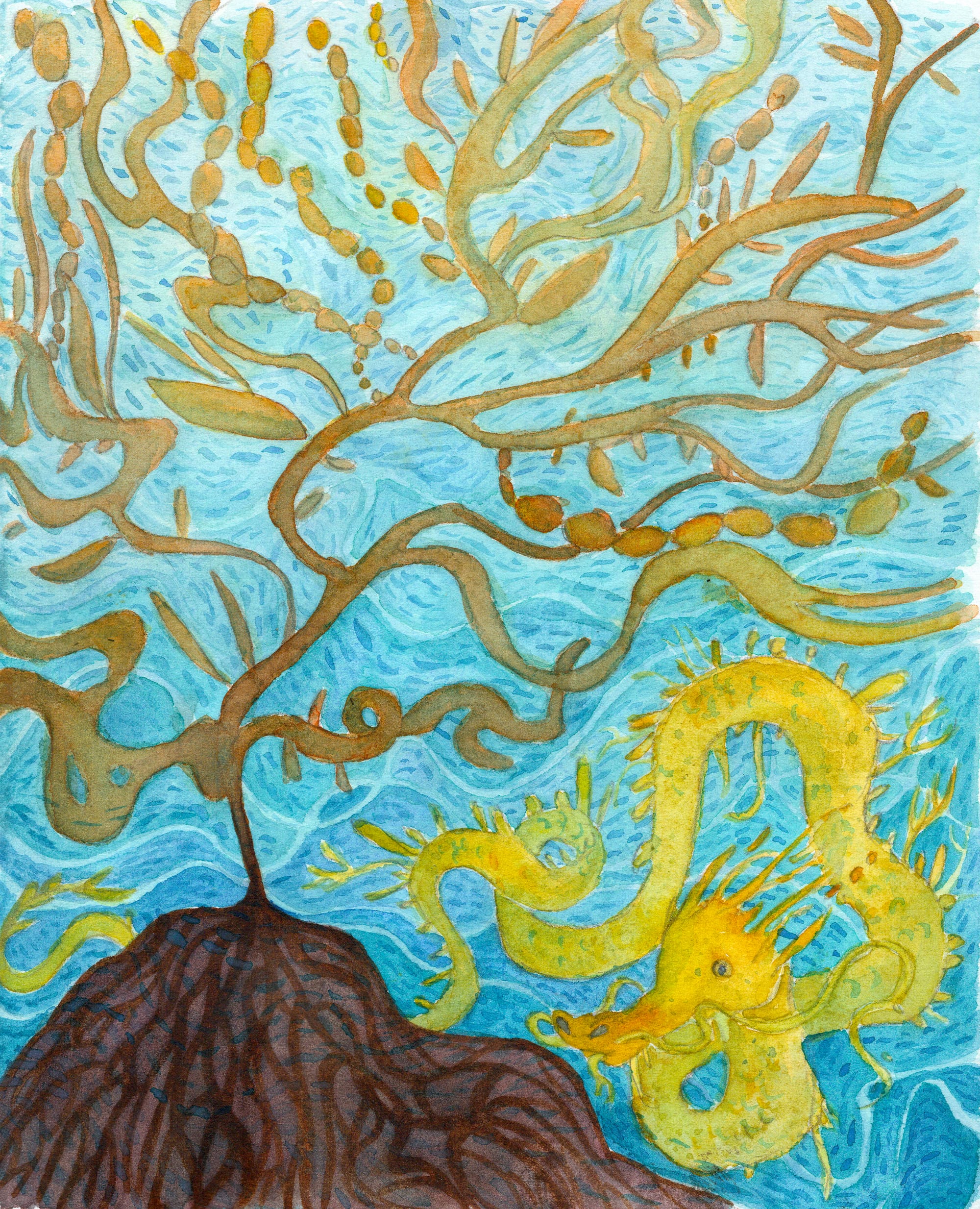 Leafy Seadragon