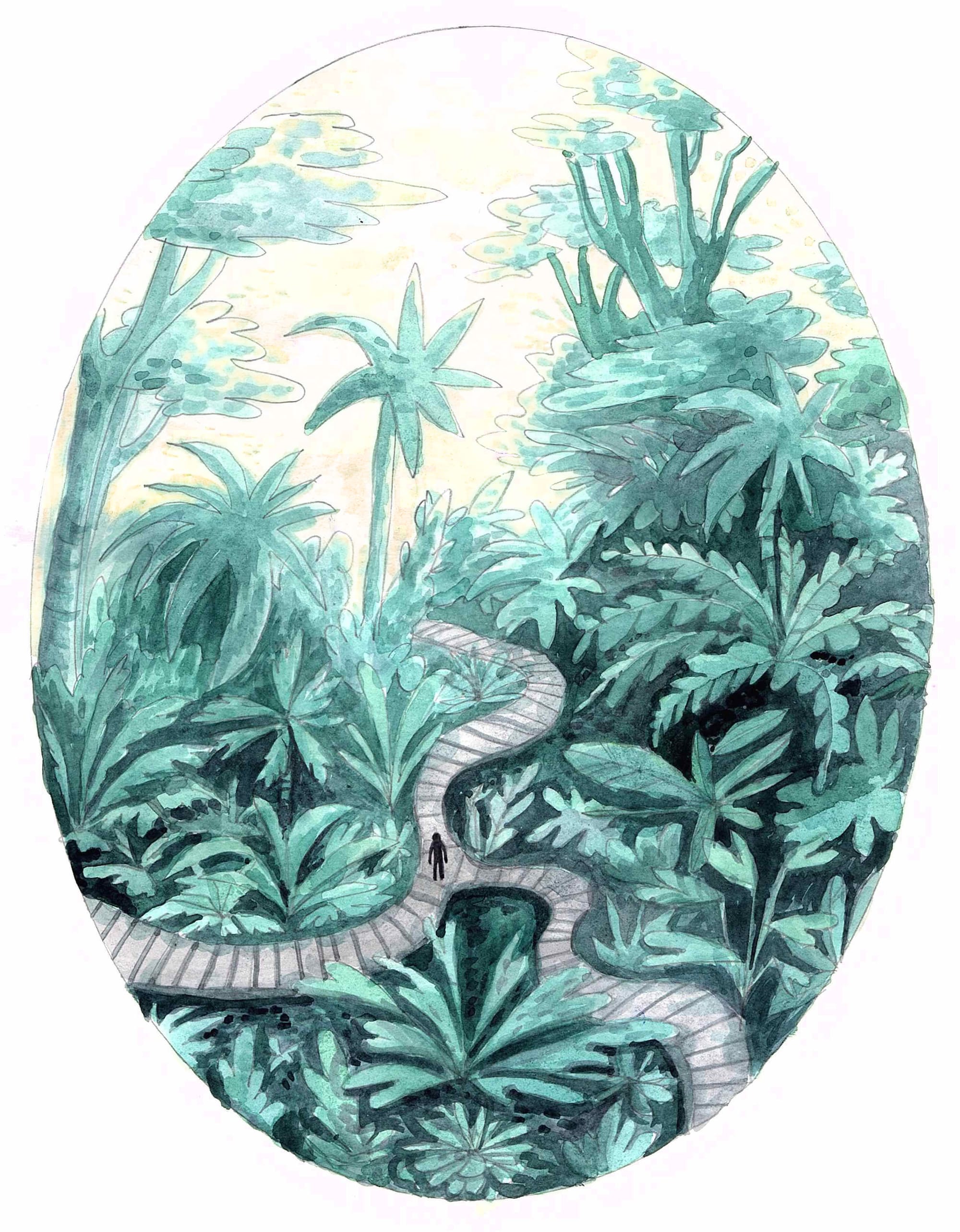 Misty Jungle