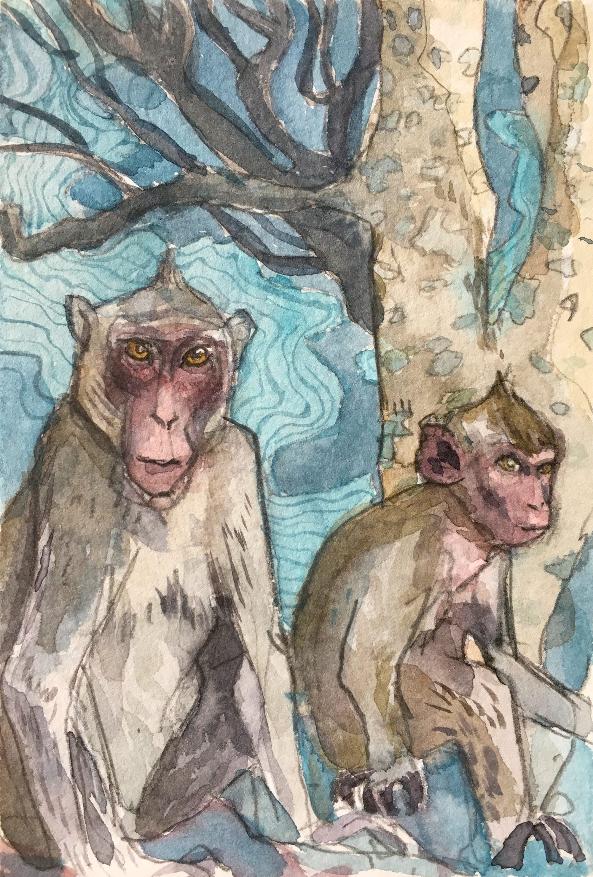 Mountain Monkies