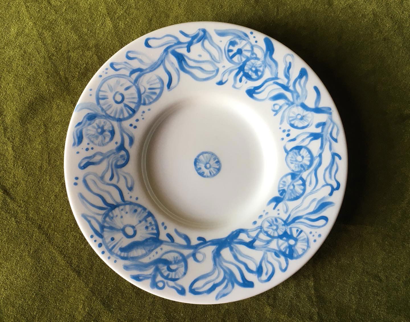 Hakea saucer
