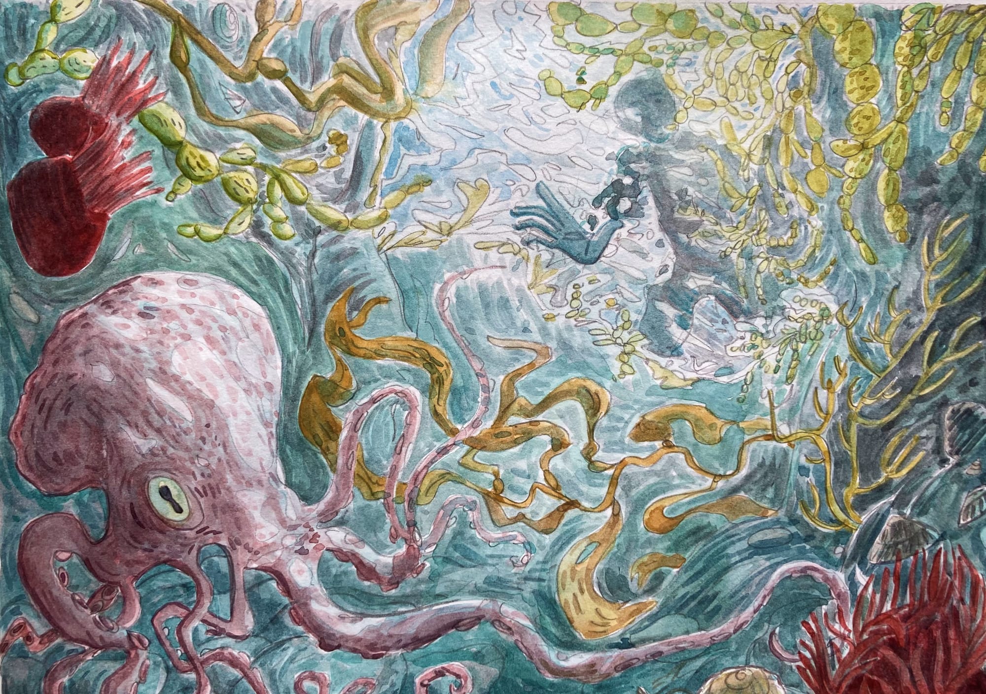 Rockpool Dweller