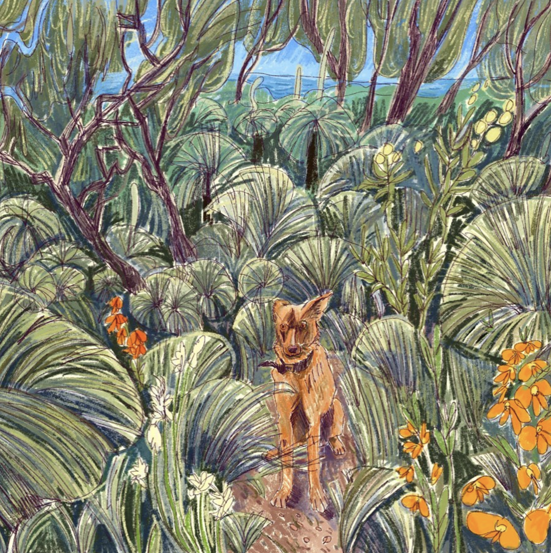 Honey's Ramble