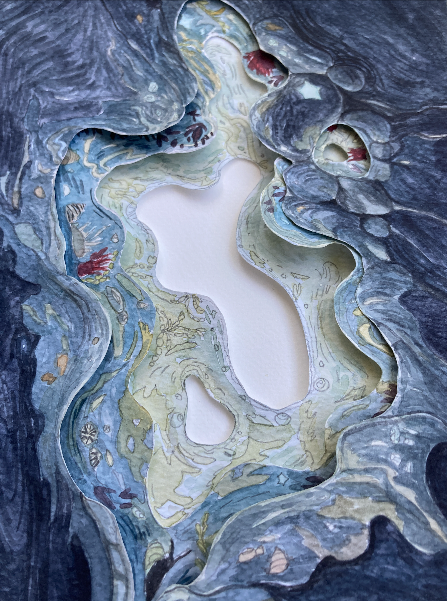 Rockpool test