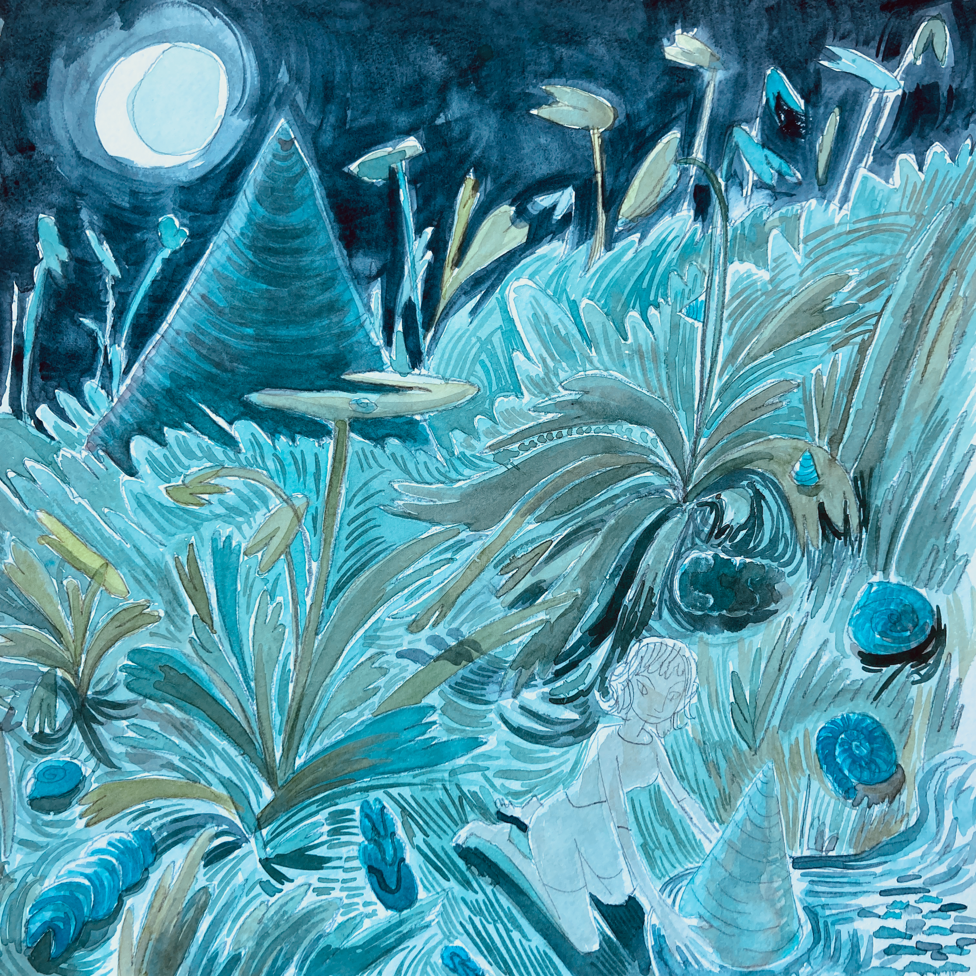 Midnight Mollusc