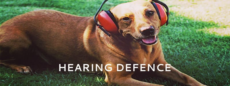Hearing Defence