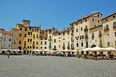 LUCCA image