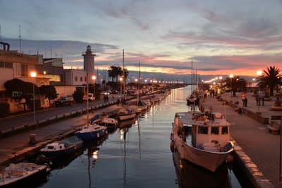 VIAREGGIO image