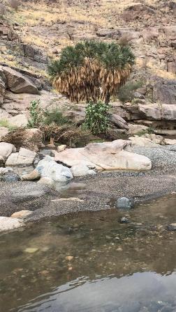 *اعضاء هايكنج السعودية بمحافظة الجموم أبطالها   رحلة هدى الشام اكتشاف ومغامرة و متعة وتحدي**