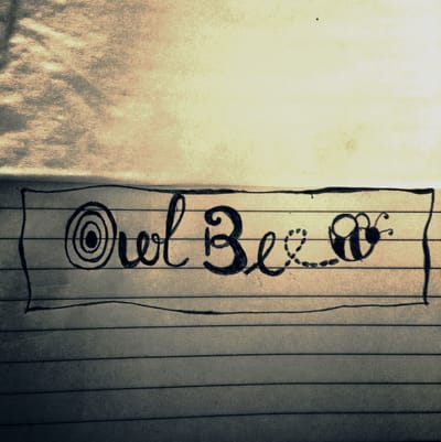 Owl Bee