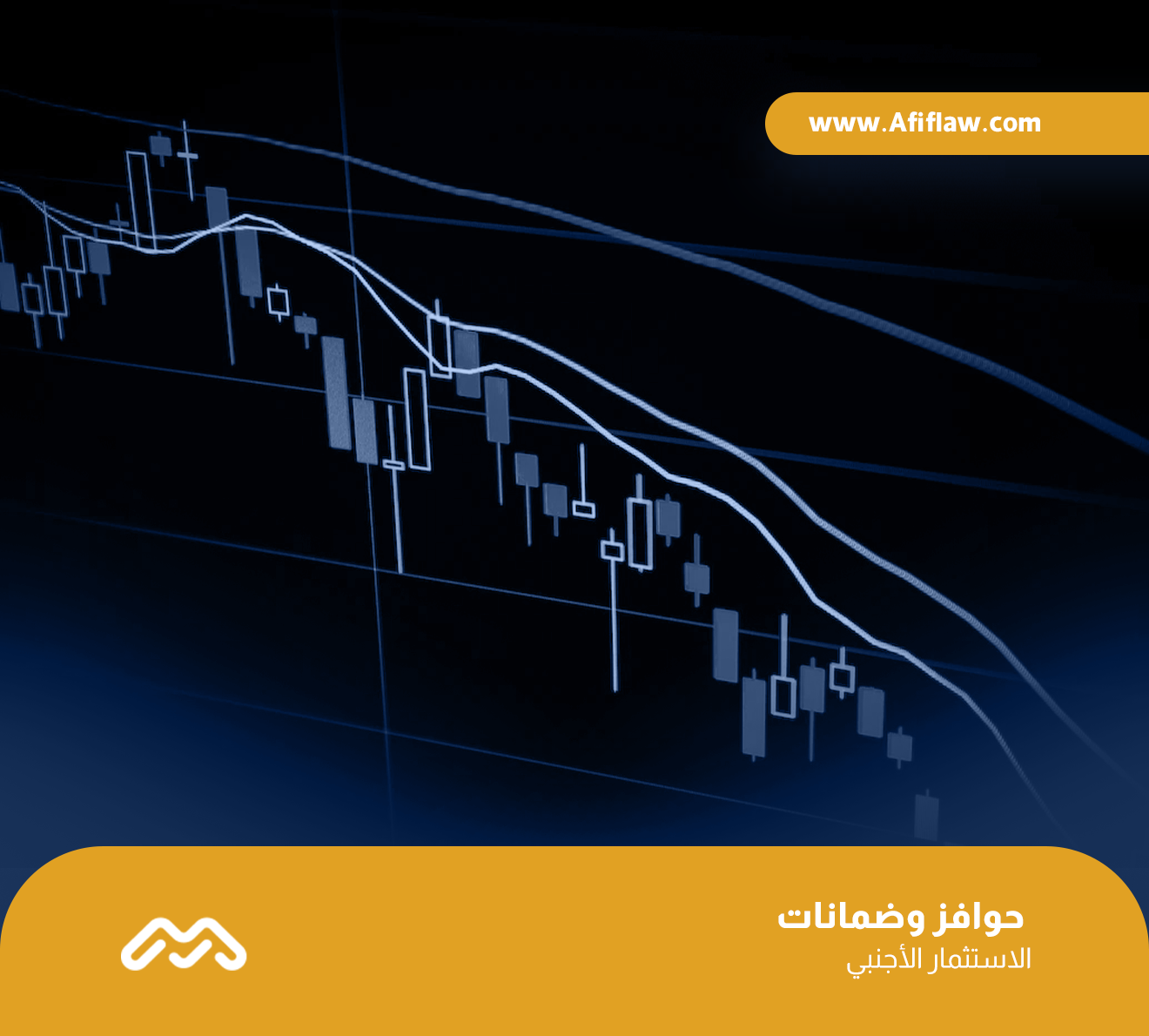 حوافز وضمانات الاستثمار الأجنبي