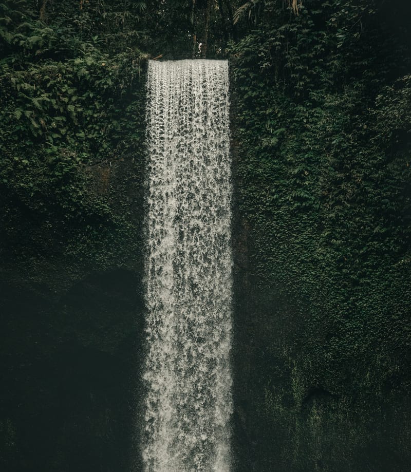 פאות ארוכות: מותר או אסור?