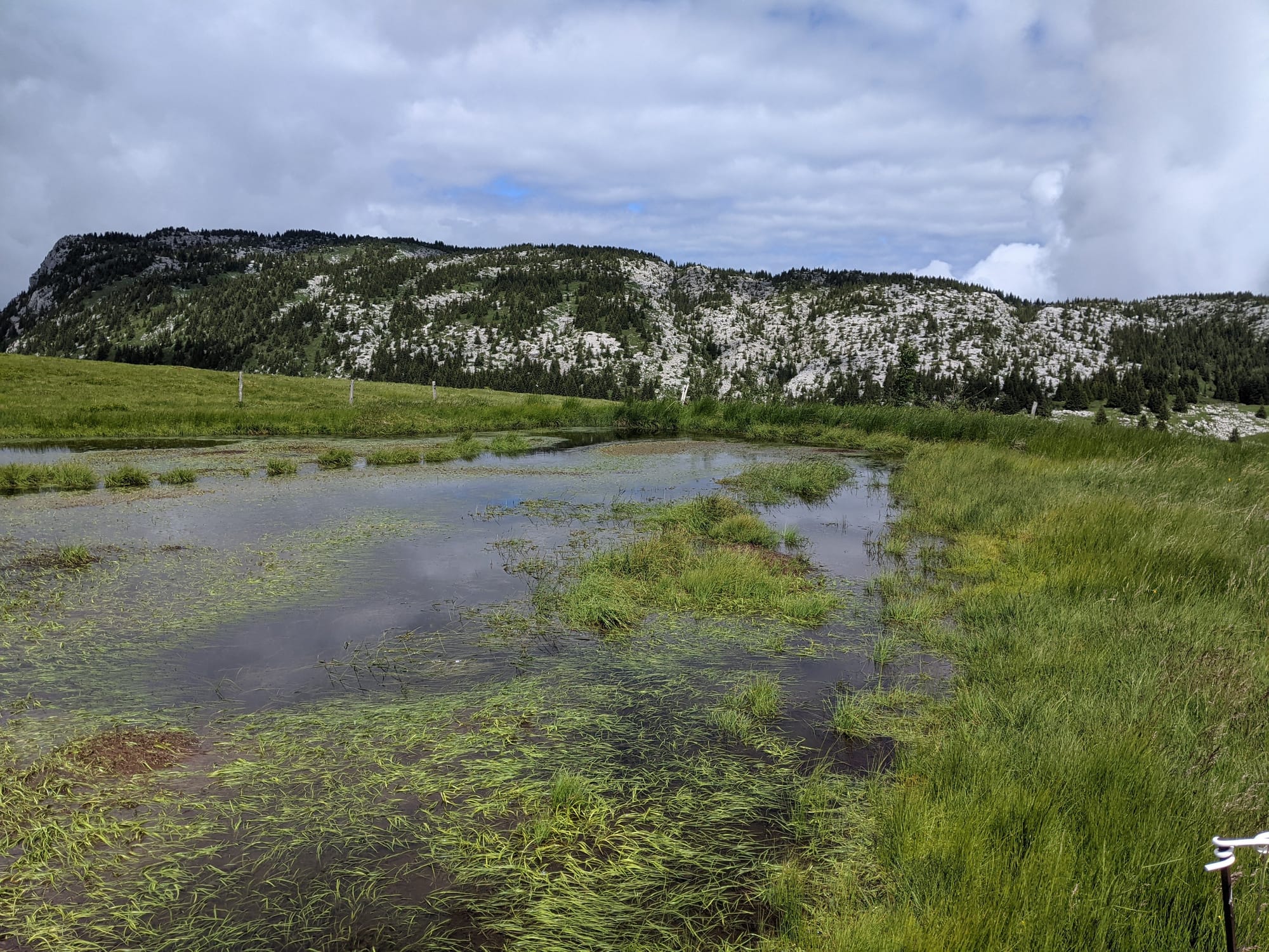 Plan de gestion des ENS "du plateau de Cenise, lac Bénit et lac de Peyre" - 2CCAM