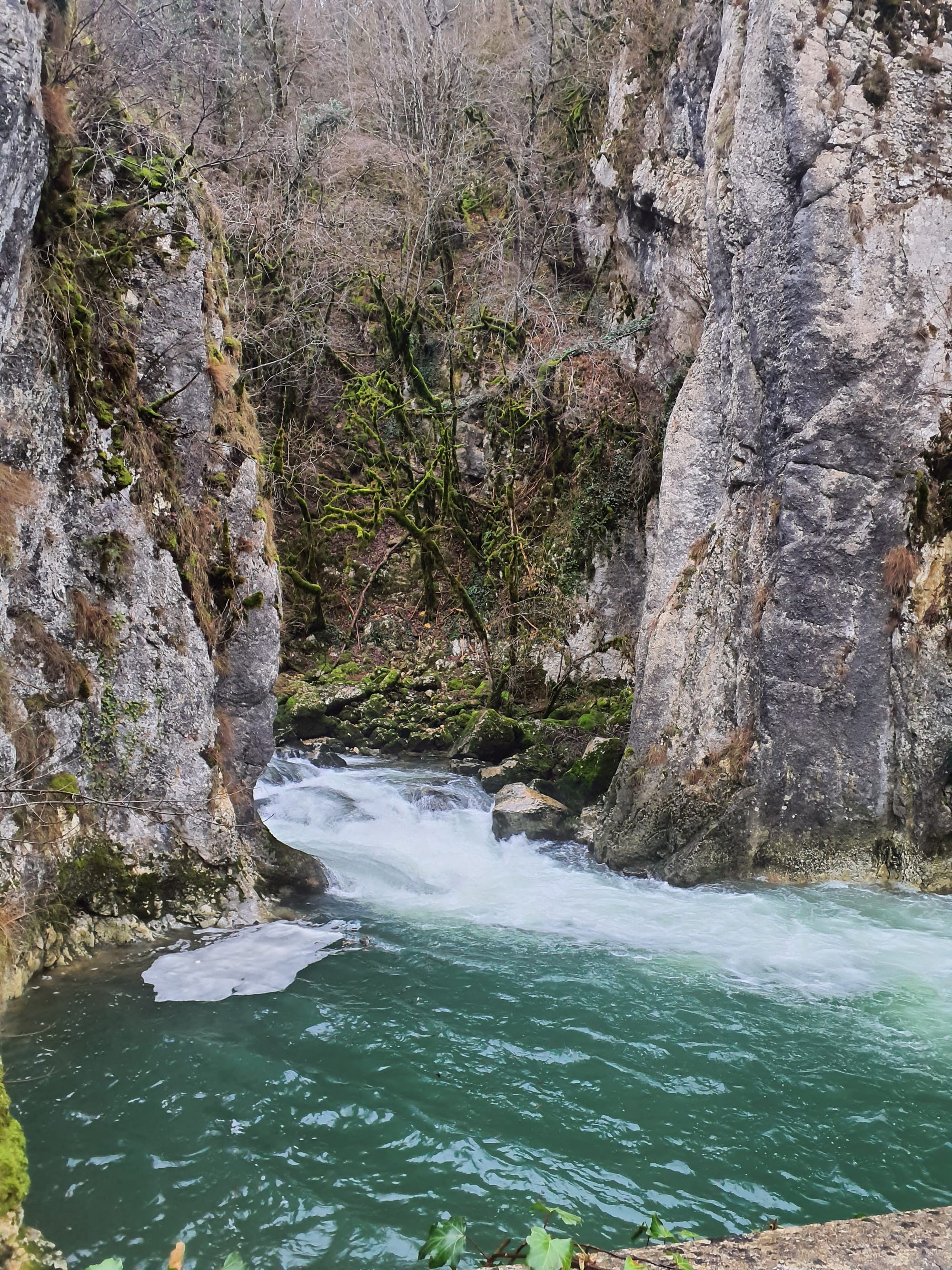 Plan de gestion et de valorisation de l'ENS "des Gorges de l'Oignin"