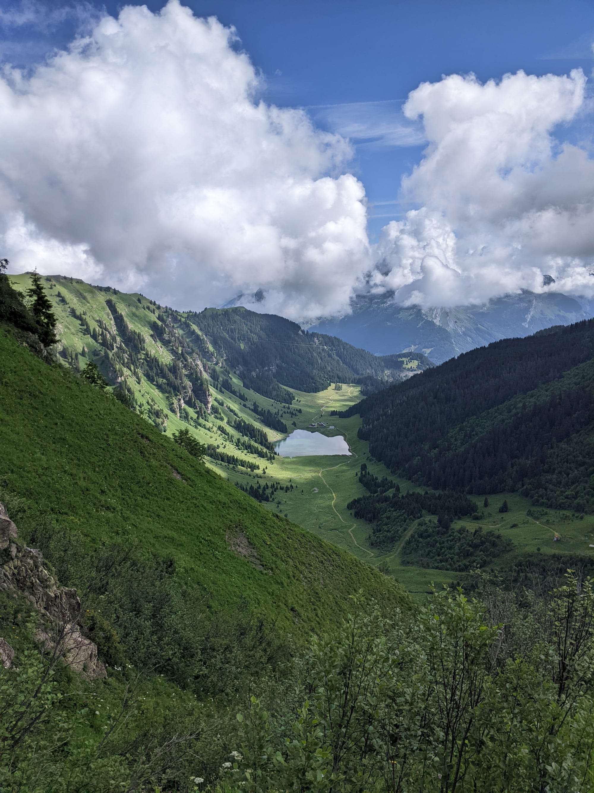 Définition de l'état de conservation des habitats naturels du Grand Massif