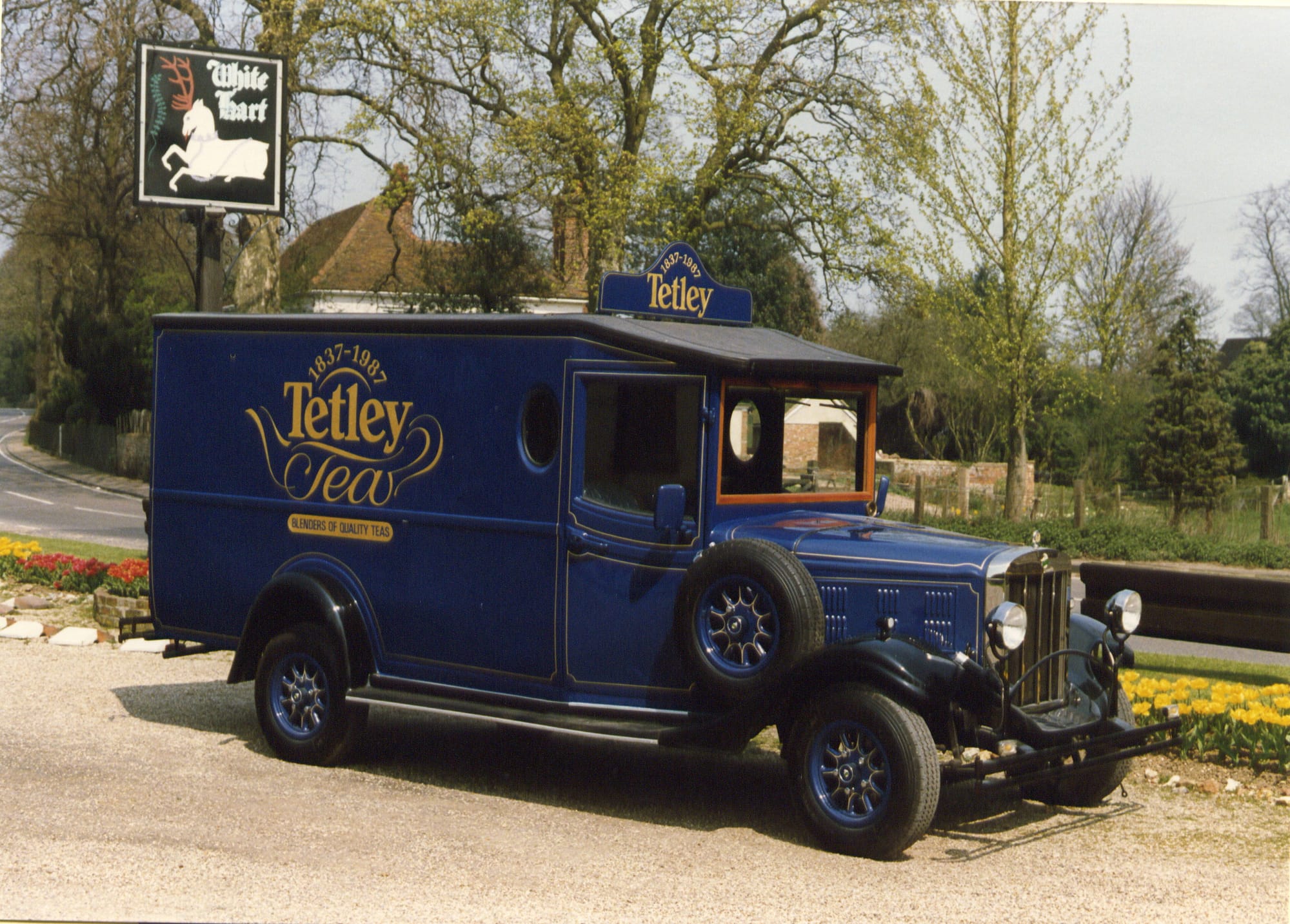 Asquith Shire - Tetley Tea (UK)