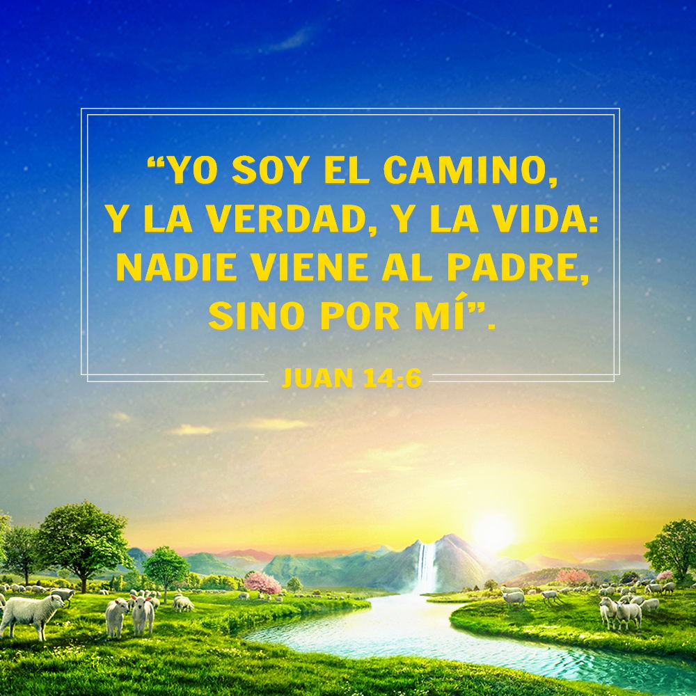 ¿Cómo conocer que Cristo es la verdad, el camino y la vida?