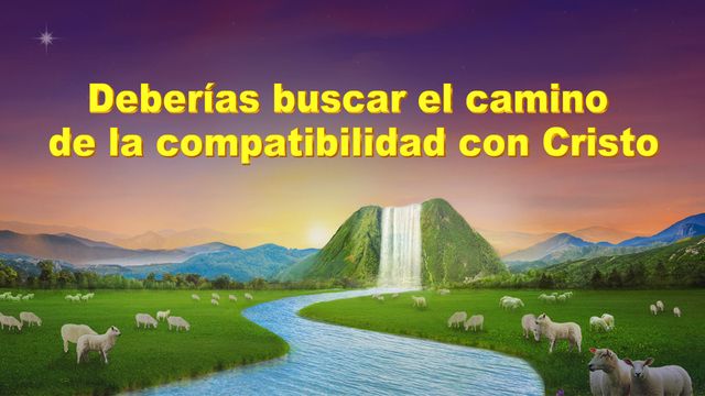 Deberías buscar el camino de la compatibilidad con Cristo