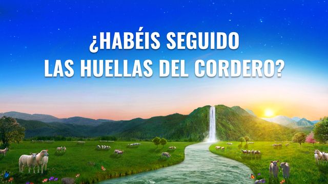 ¿Habéis seguido las huellas del Cordero?