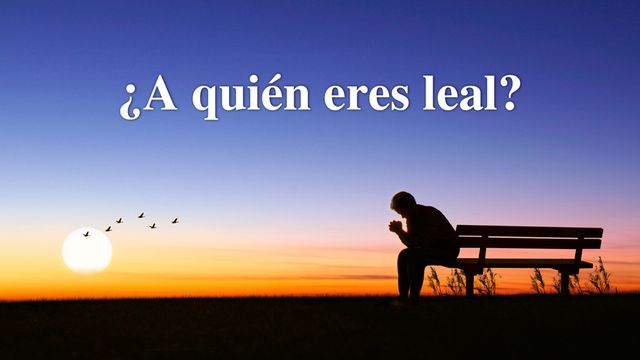 ¿A quién eres leal?