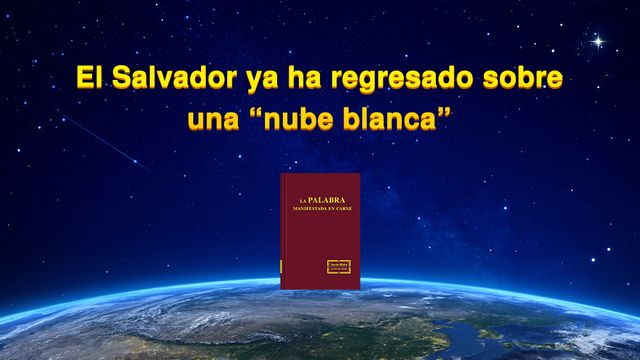 El Salvador ya ha regresado sobre una “nube blanca”