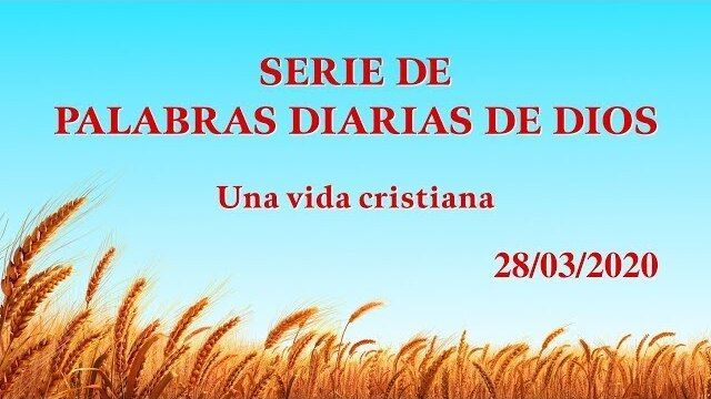 Todo se realiza por la palabra de Dios