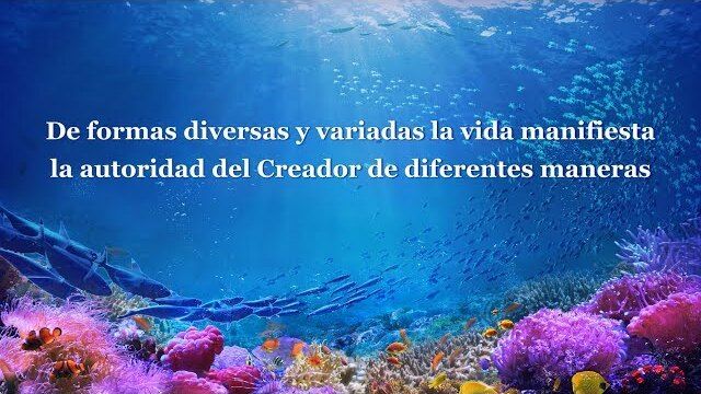 Dios mismo, el único (I) La autoridad de Dios (I) Fragmento 1