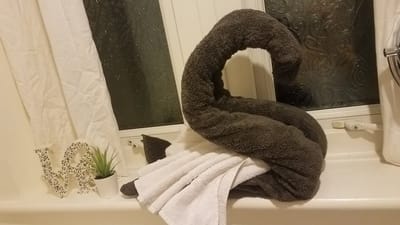 Ironing Service image