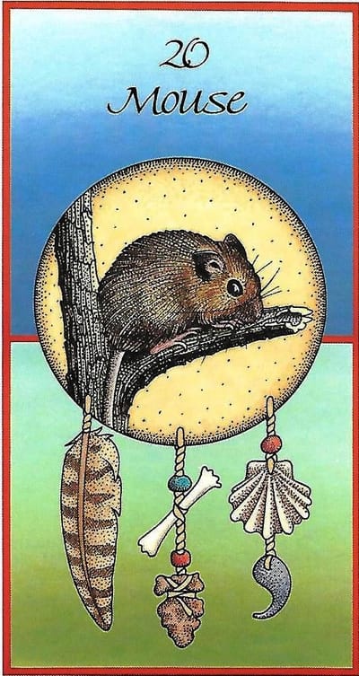 A Mouse In The House