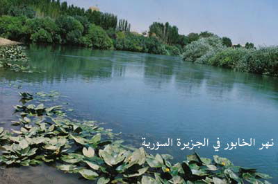 حول رأس العين image