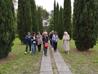 Assemblea del 25/5/2019