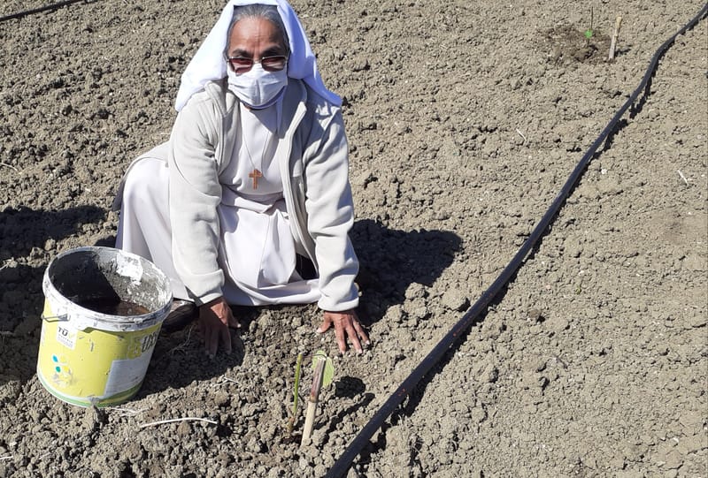 Giornata della Terra