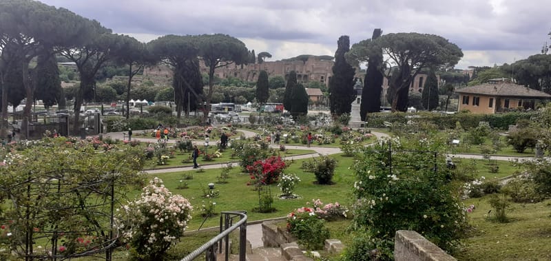 Camminare insieme - Roseto comunale