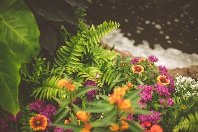 landscapingserviceblog image